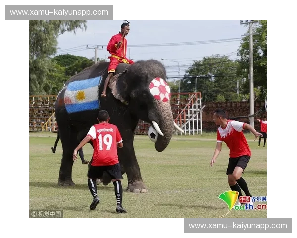 欧洲红魔对阵非洲大象:一场横跨大洲的绿茵力量之争与感官盛宴 欧洲红魔对阵非洲大象:一场横跨大洲的绿茵力量之争与感官盛宴